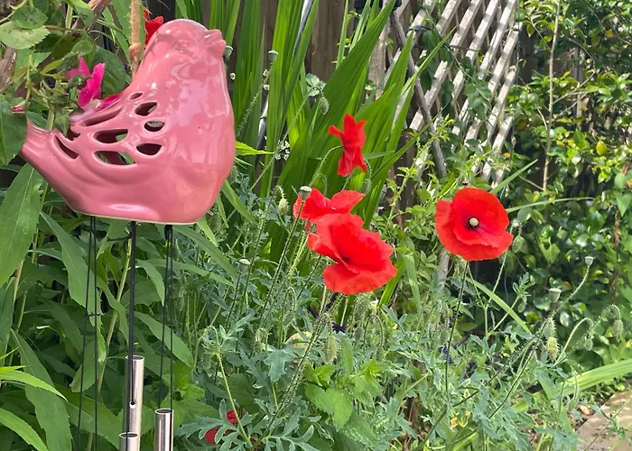 Little Mouse Cottage