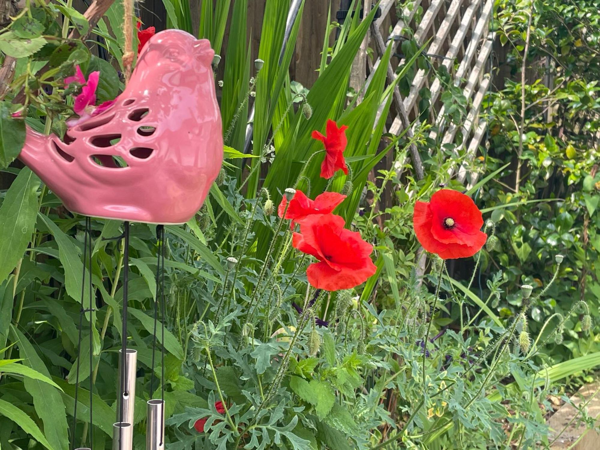 Little Mouse * Lavenham
